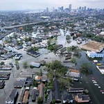 Lessons from Katrina: how to rebuild academia from the ground up