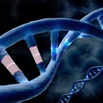 A first for CRISPR: powerful prime editing alters DNA directly in the human body