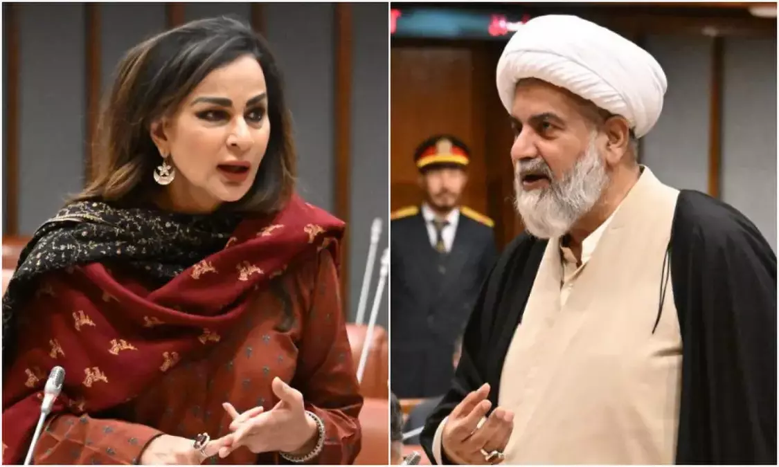 'Will petrol be available in December?': Senate echoes with shortage concerns even as state minister says no supply issues