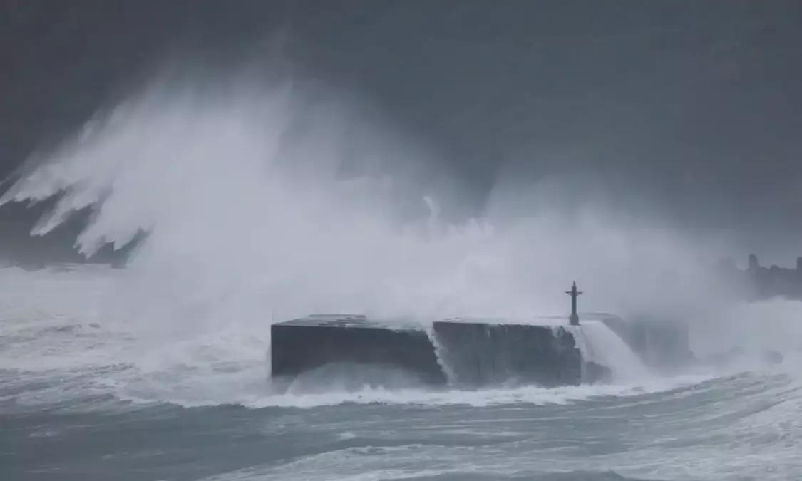 Taiwan shuts down ahead of Typhoon Champi, nearly 1,000 flights cancelled
