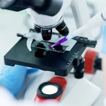 France reports first human Shamonda virus case