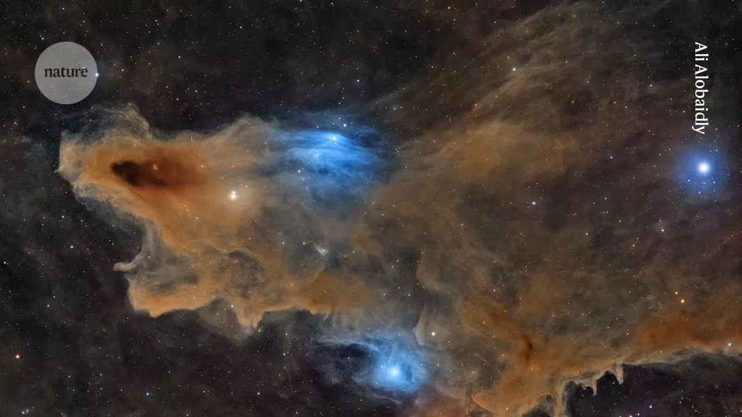 Gaze into the cosmos and through the eyes of a bee — September’s best science images