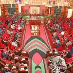 Kenyan diaspora deserve seats in our National Assembly