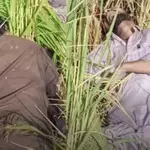 Two suspected Pakistani intruders shot dead in Tarn Taran
