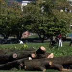 Trump Vows To Proceed With D.C. Golf Course Renovation Shortly After Judge's Blocks Tree Removal