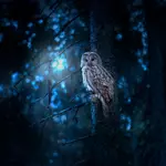 Here’s What Happens to Night Owls at Work, According to Science