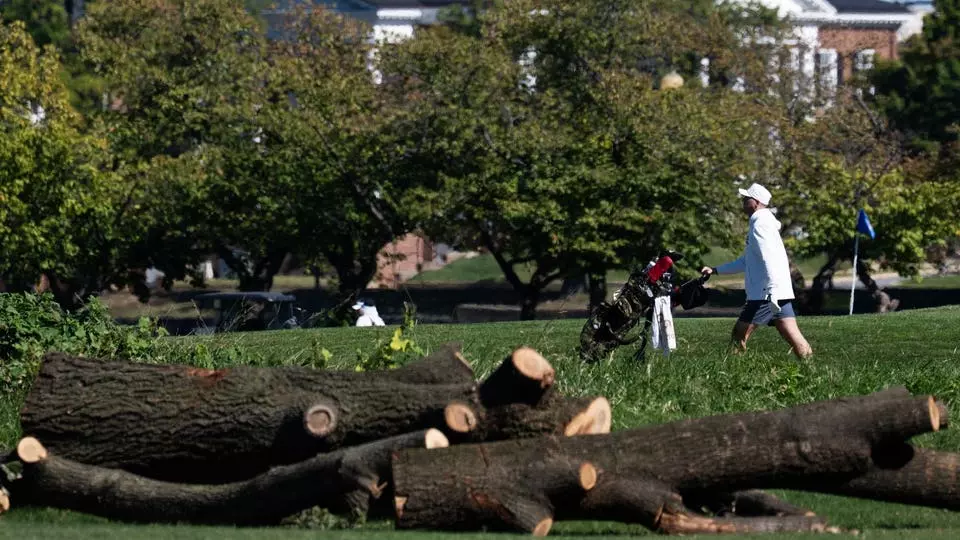 Trump Vows To Proceed With D.C. Golf Course Renovation Shortly After Judge's Blocks Tree Removal