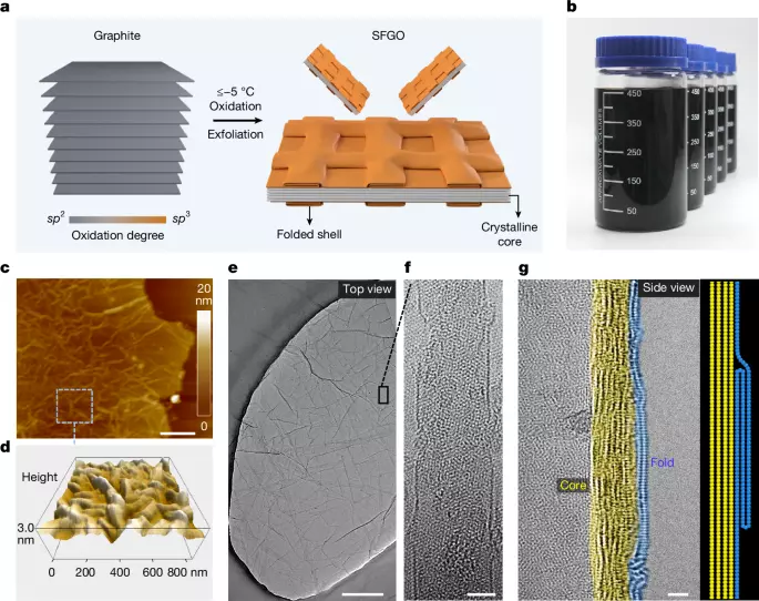 Clasping folds enable superior elastic strength of graphene films