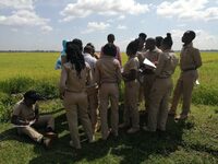 Wildlife Research and Training Institute Jobs: 12 Urgent Career Openings in Kenya