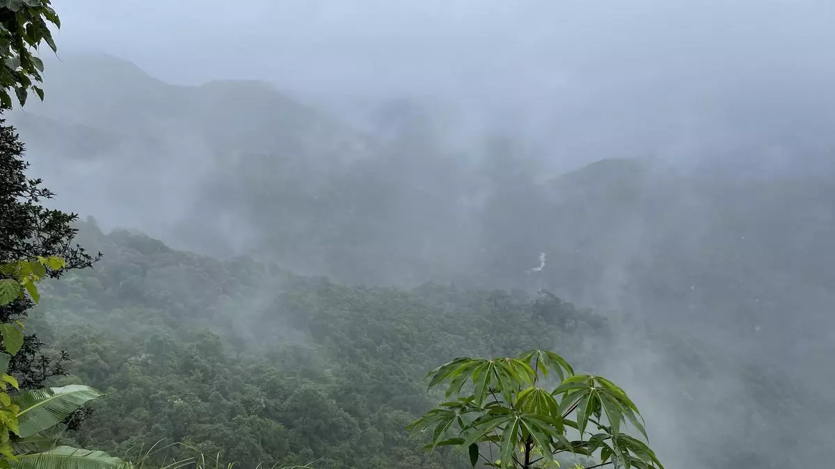 Mapping of two Western Ghats districts shows much of proposed ESA overlaps with Notified Forests, Protected Areas, or existing ESZs