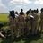 Wildlife Research and Training Institute Jobs: 12 Urgent Career Openings in Kenya