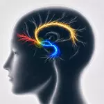 Scientists uncover 3 key brain pathways linked to lasting depression relief