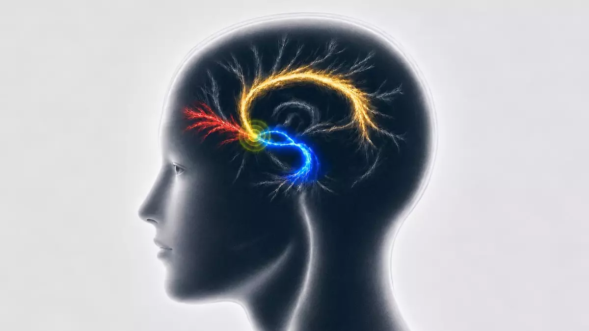 Scientists uncover 3 key brain pathways linked to lasting depression relief
