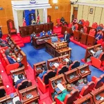 Senators against petition to limit nomination of MCAs to one term