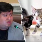 Blue state councilman mocked after claiming self-driving cars are 'murdering' pets: 'Hide your cats'