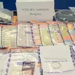 Police smash burglary ring that recruited illegal immigrants for 25 break-ins