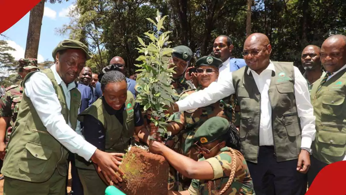 Trans Nzoia to Host National Mazingira Day 2026 and Presidential Green Challenge