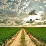 Family sells 1,500-acre farmland portfolio for $22.46m after owner’s death