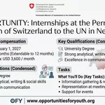 Human Rights, Legal Affairs, and Sustainable Development Internship