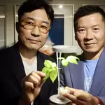 Why foreign companies are still betting on Hong Kong’s culinary reputation