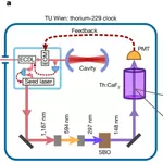 A thorium-229 optical nuclear clock with feedback loop