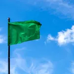 6 Green Flags to Look for Before Accepting a Job Offer