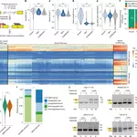 A microexon regulatory code reveals autism-linked genetic variation