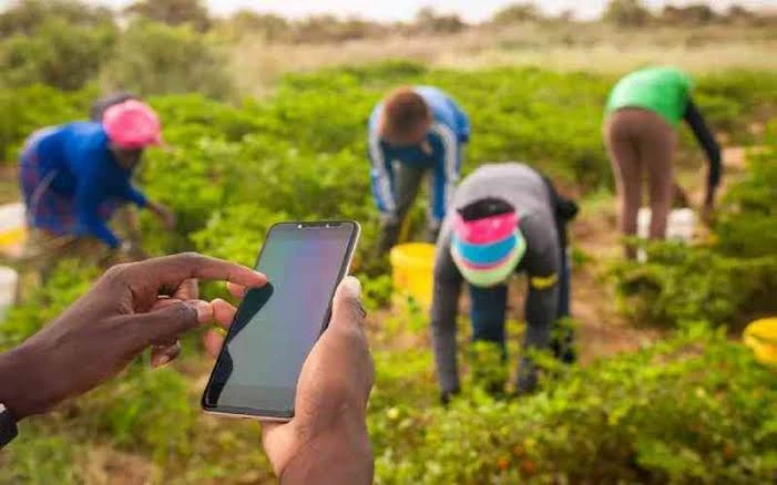 Why Kenyan farmers must rethink reliance on chemicals