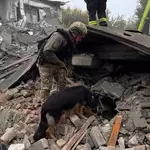 Russian attacks kill 15 in Ukraine after Trump strikes diesel deal with Putin