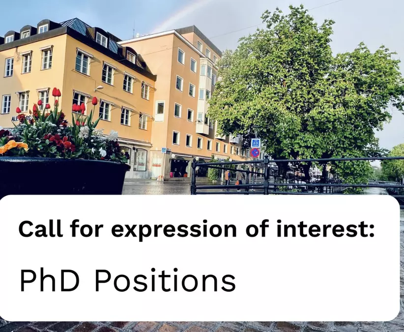 DIViNE Doctoral Network 2026–2027: 10 PhD Positions in Political Violence, Democracy and Democratic Resilience Across Europe