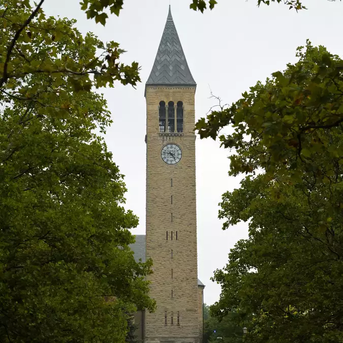 How The New York Times Is Reporting on the Cornell Rape Investigation