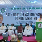 Governor Calls for Renewed Oil Exploration in Borno