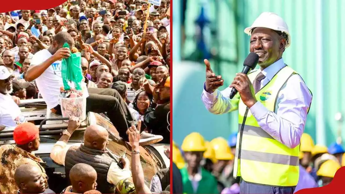 Caleb Amisi claims Ruto would defeat Sifuna if Nairobi senator chosen as opposition flagbearer