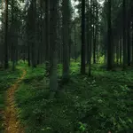 Making a GTK application in Haskell, part 1