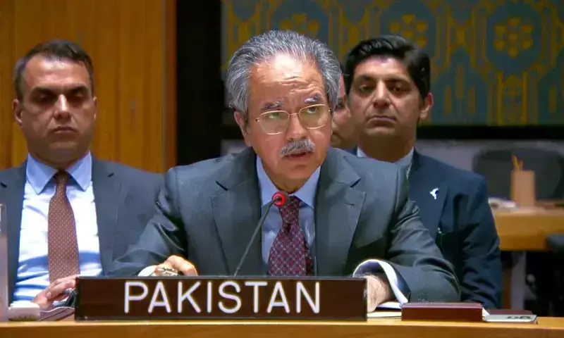 Pakistan opposes new permanent Security Council members
