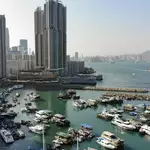 Hong Kong police arrest woman after dog allegedly thrown into sea