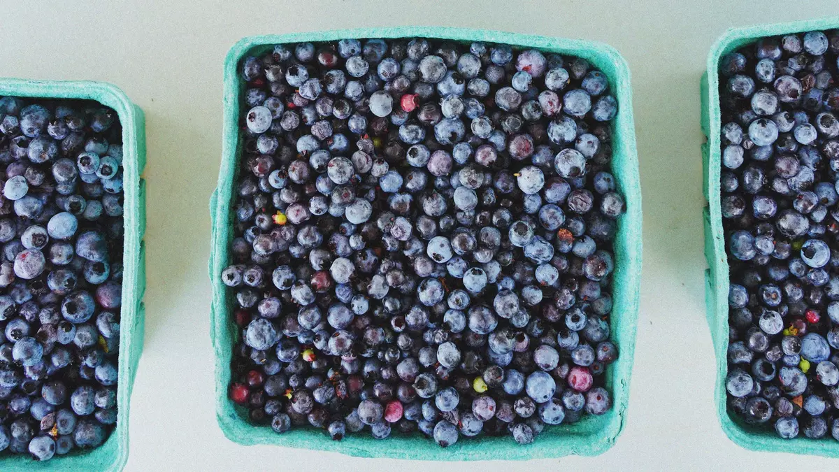 Can Blueberries Improve Your Mood? A 3-Month Study Found a Surprising Clue in the Gut