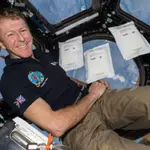 UK children tested 600,000 space seeds; they grew slower but stayed viable