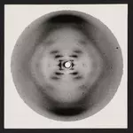 Despite what Watson said, Rosalind Franklin understood structure of DNA first