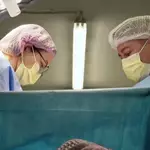 With more deaths than births in Ukraine, having babies becomes an act of national pride