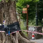 Hong Kong to review Peak lighting installation after outcry over felled trees
