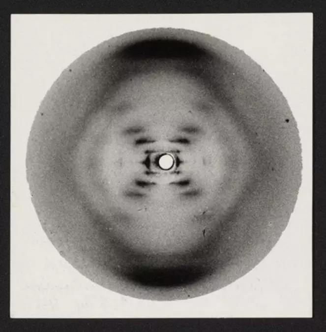 Despite what Watson said, Rosalind Franklin understood structure of DNA first