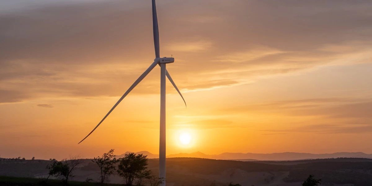 Why we're watching these climate tech companies