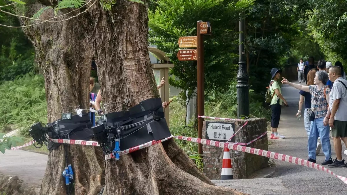 Hong Kong to review Peak lighting installation after outcry over felled trees