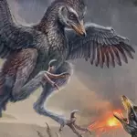 Sorry, Darwin: Chinese fossil shows that not all early birds evolved to fly