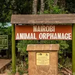 Court Bars Govt From Constructing Car Park at Nairobi Animal Orphanage