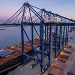 WTO hikes global trade growth forecast, names Pakistan among nations gaining from disruptions amid ME conflict