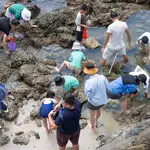 Greenpeace catches Hong Kong geopark ‘golden week’ visitors damaging marine life