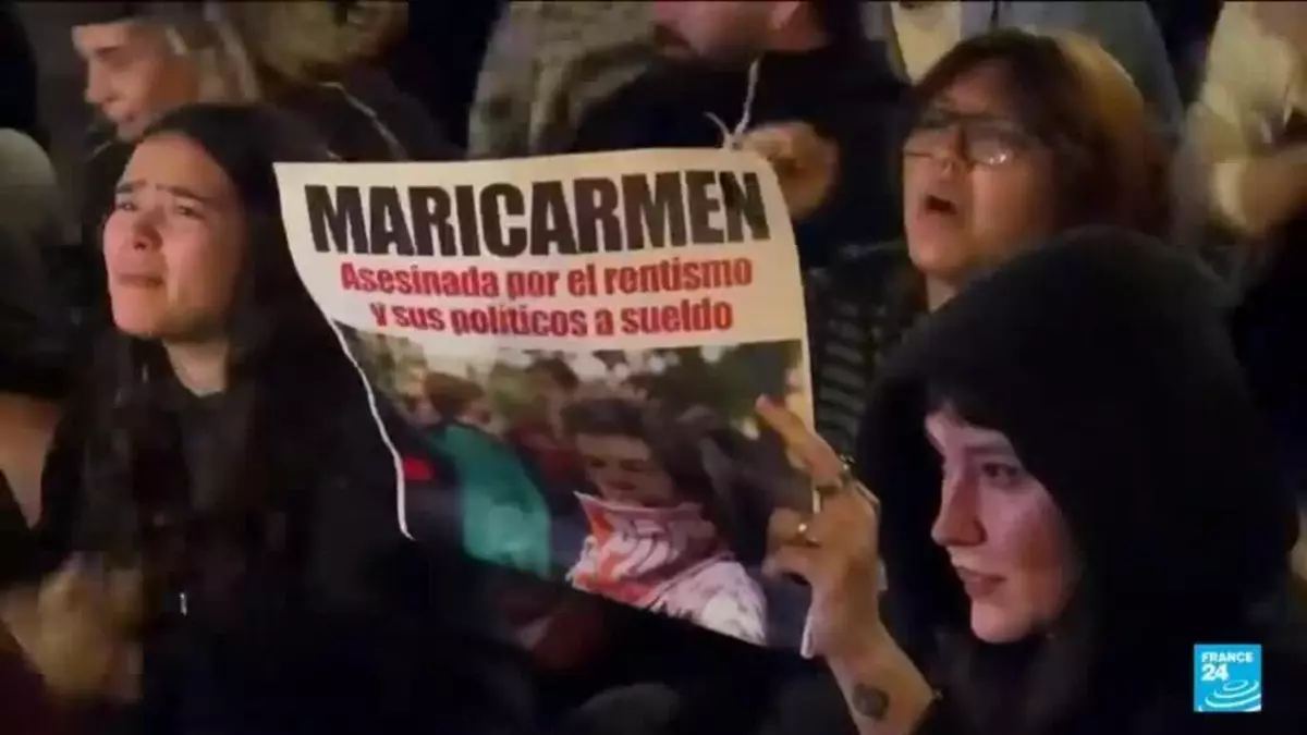 'They killed her': Evicted pensioner who sparked Spain housing protests dies