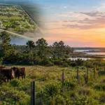 Florida county pays $7.8m for 625-acre ranch, stopping 52-home development